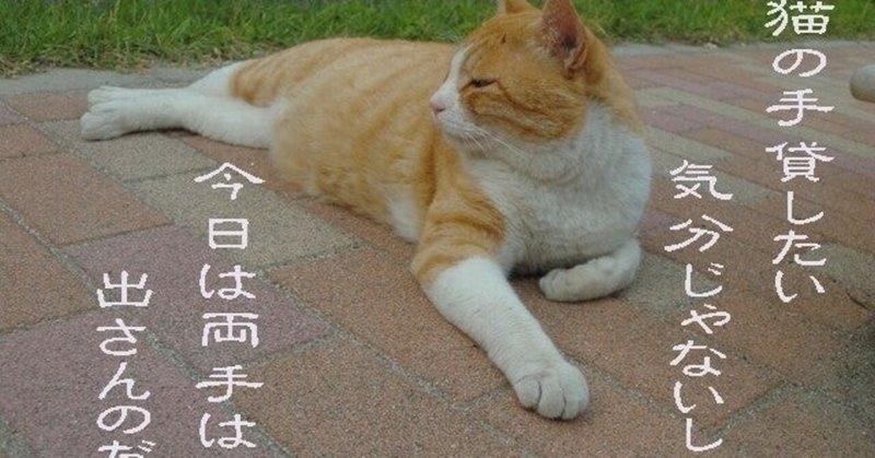 猫にゃん棒 の新着タグ記事一覧 Note つくる つながる とどける