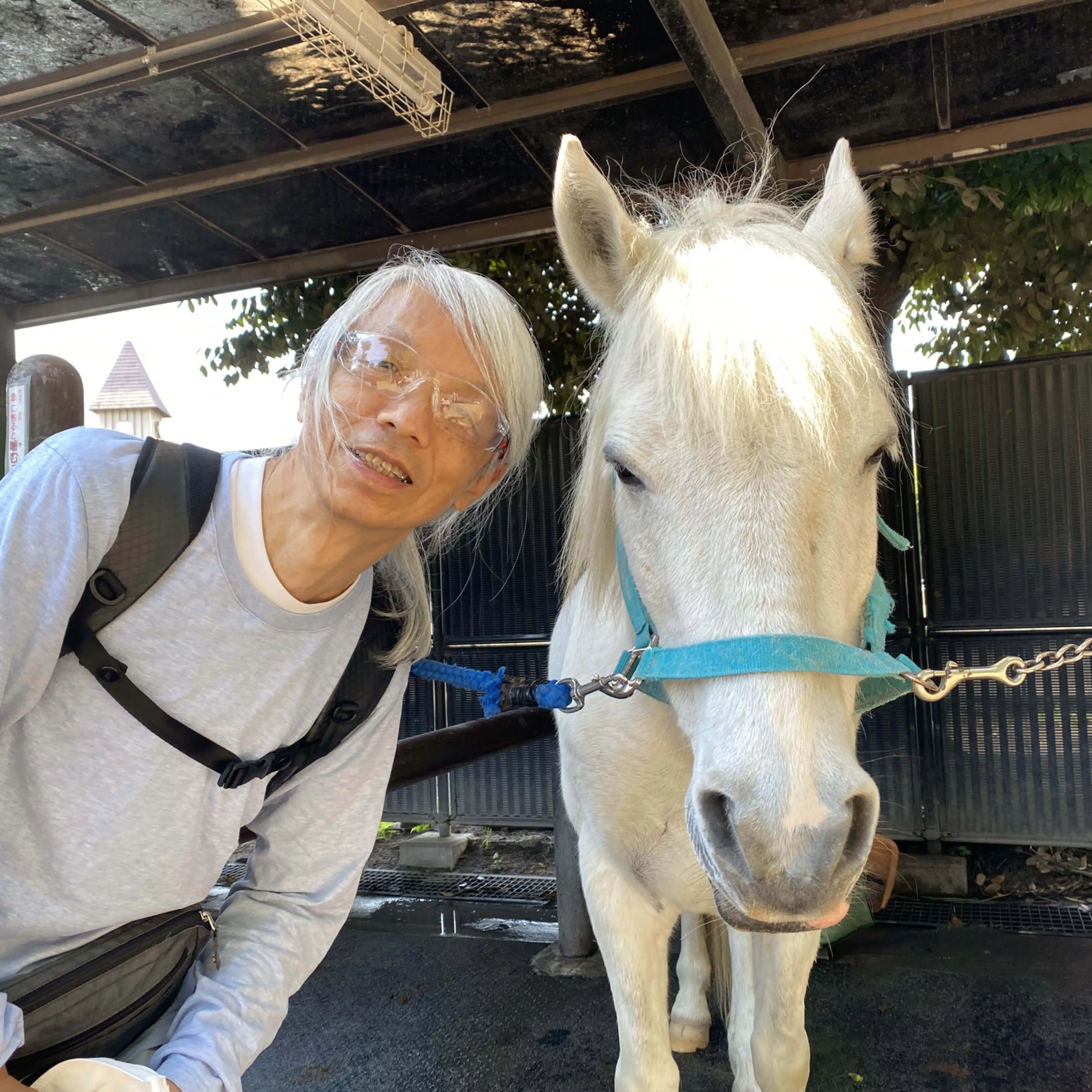 WONG WING TSAN （ウォンウィンツァン）