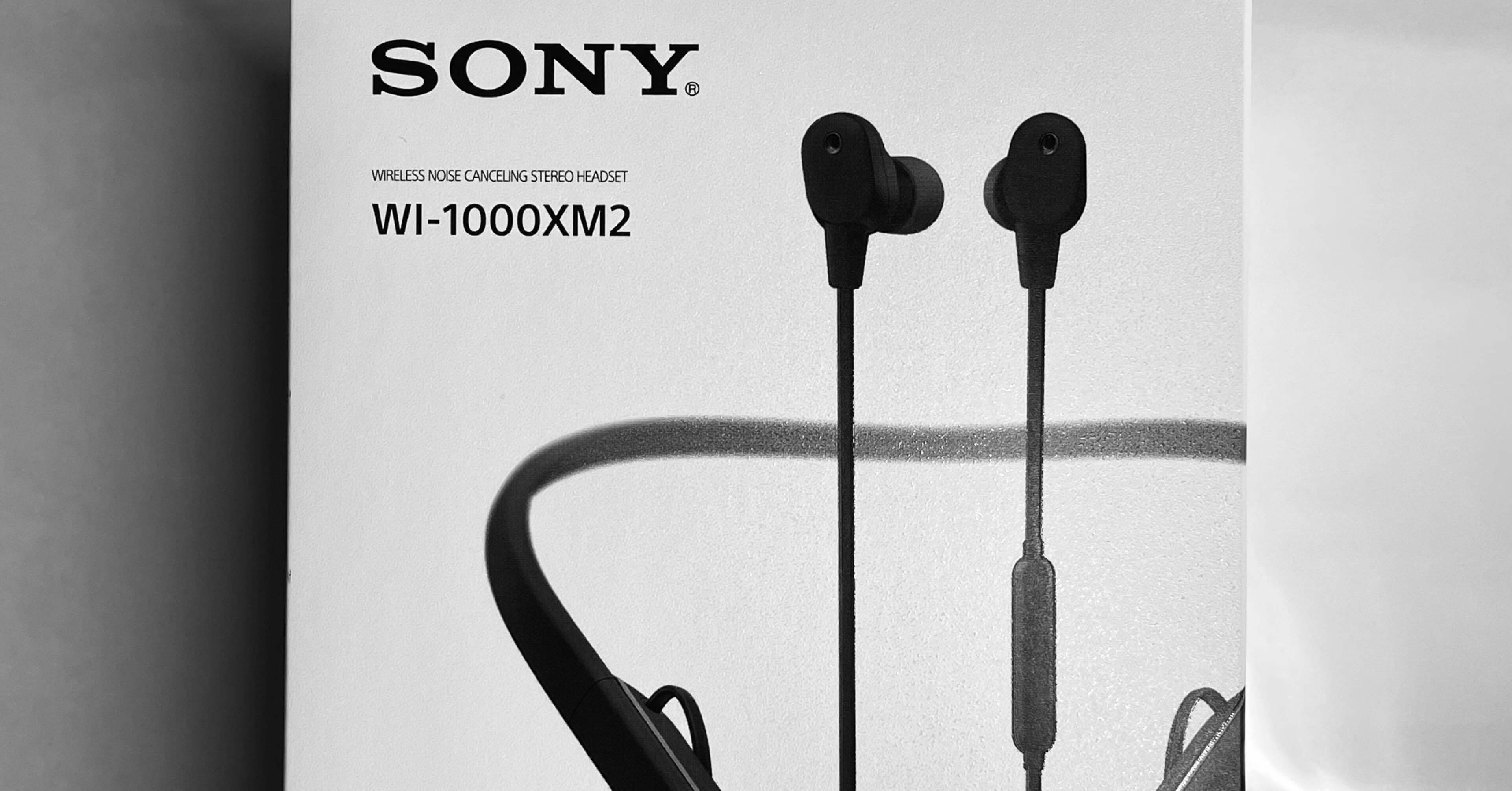 Sony WI-1000XM2 手放した話｜ねこさん