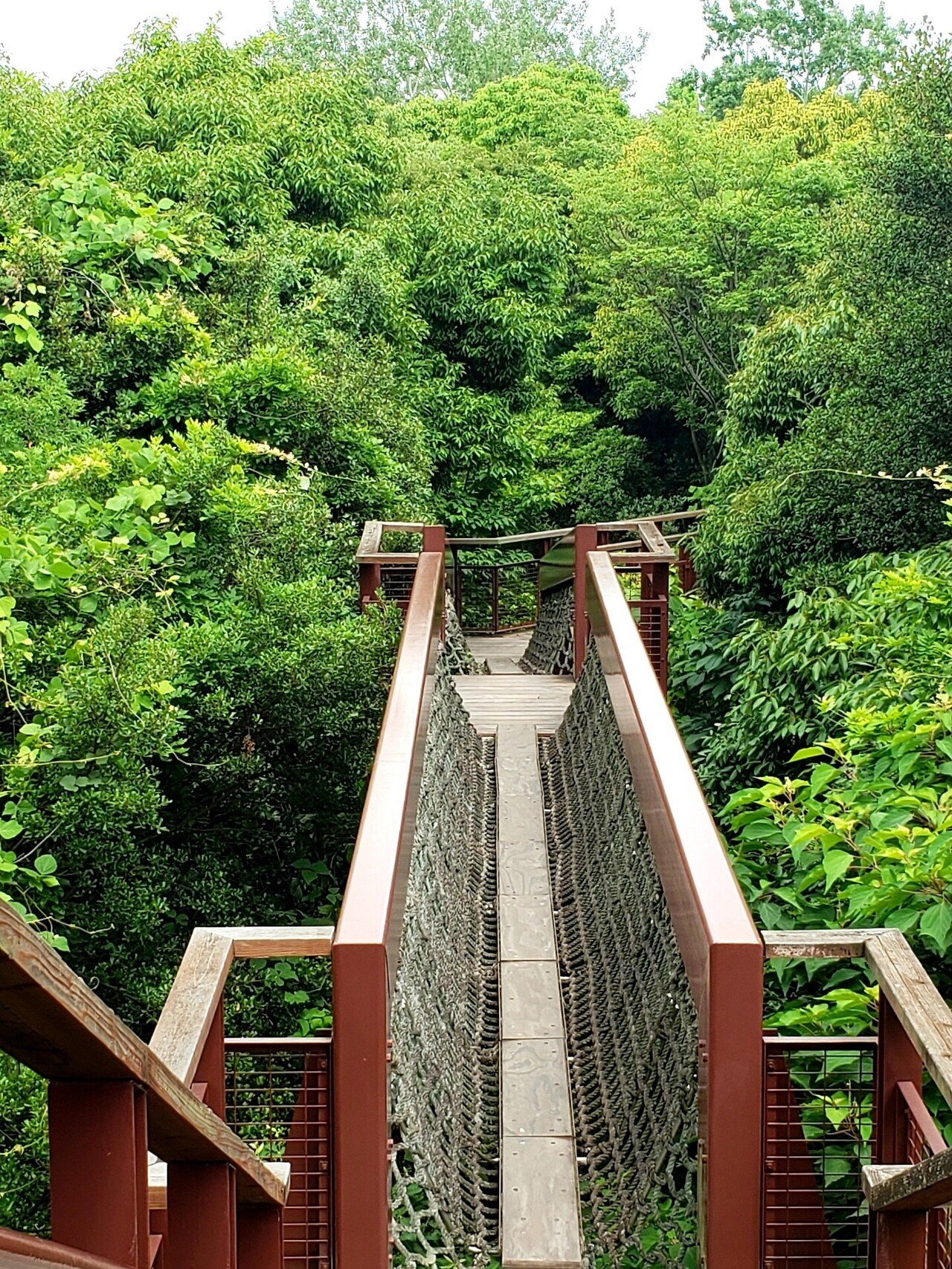 友人と巡る万博記念公園 ひばりん Note