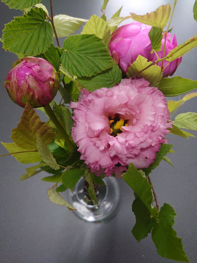 6月の花 澄衣 Note