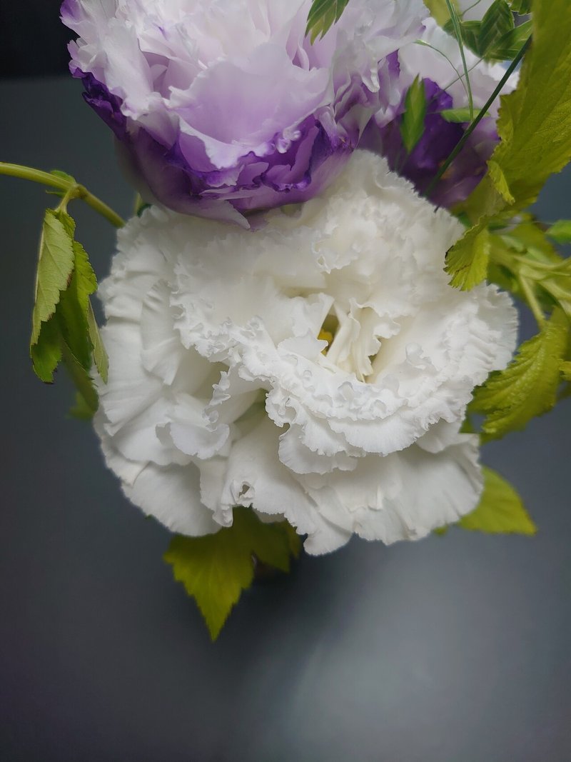 6月の花 澄衣 Note 6月の花 澄衣 Note