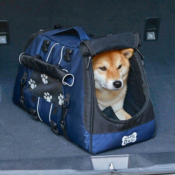スバルのcmには柴犬がちょいちょい出るので油断できない しばいぬたろう Note スバルのcmには柴犬がちょいちょい出るので油断できない しばいぬたろう Note
