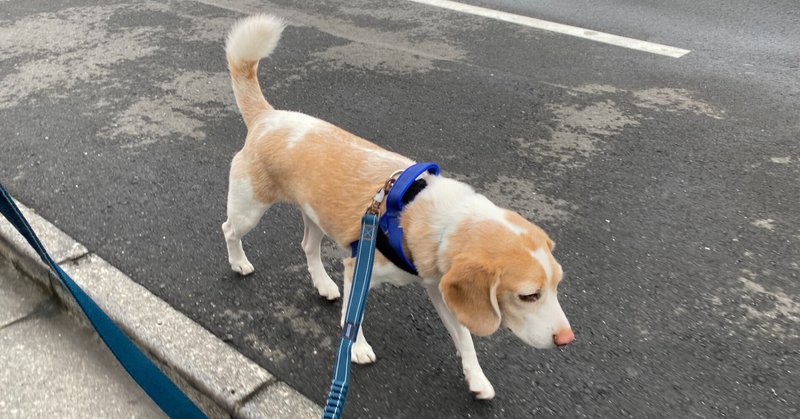 一丁前になる ということ 古賀史健 Note