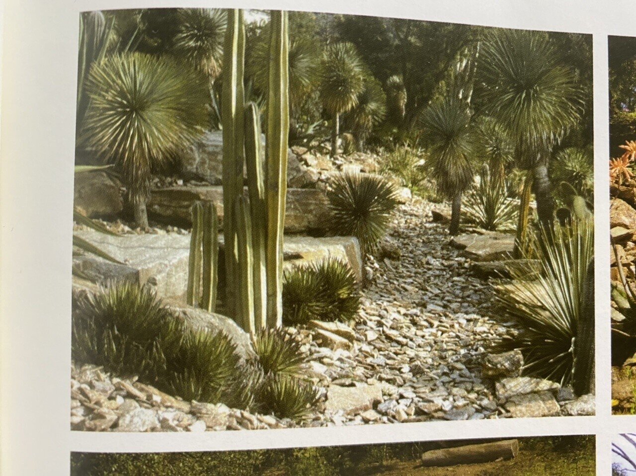 臙脂色のサステナビリティ 棚橋弘季 Hiroki Tanahashi Note 臙脂色のサステナビリティ 棚橋弘季 Hiroki Tanahashi Note