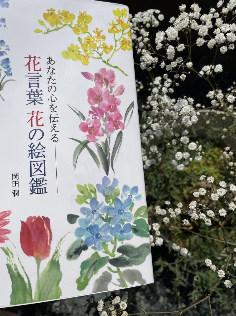 花言葉花の絵図鑑 の新着タグ記事一覧 Note つくる つながる とどける