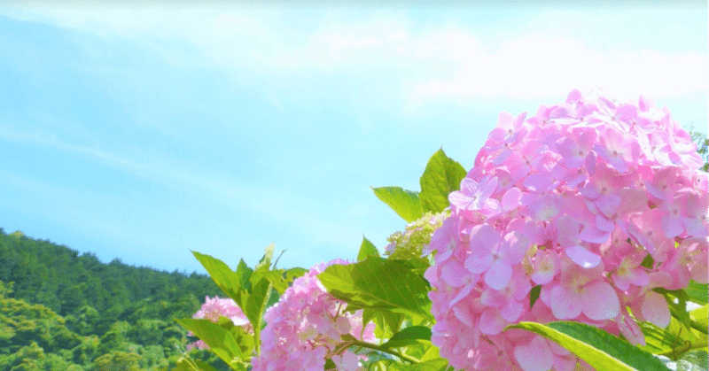 家庭を家族全員にとって居心地よく 心安らぐ場所に まゆみコーチ 次世代ファミリーコーチング 公式 Note