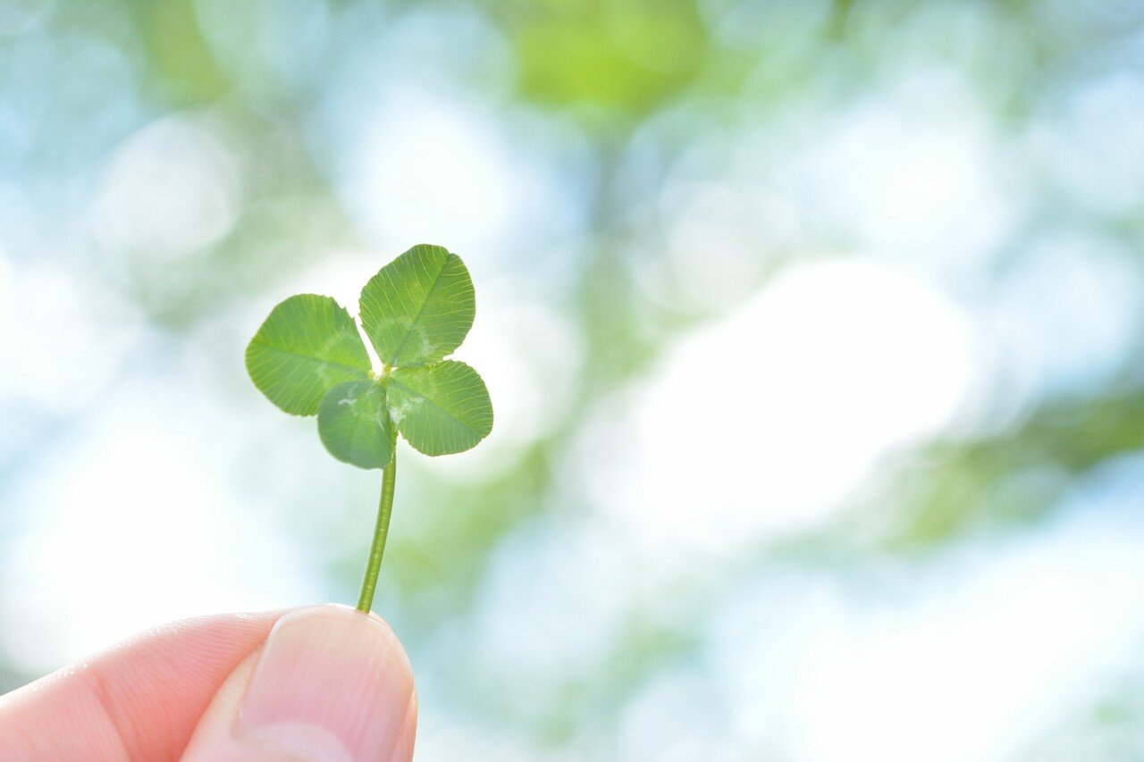 幸せな人生の順番 健康 つながり お金 読書日記 精神科医が見つけた 3つの幸福 タルイタケシ 安全 安心と絆でつながるキャリアコンサルタント Note