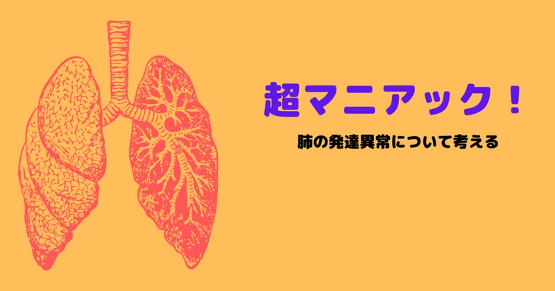 胎児肺について｜こども勉強室こぶた