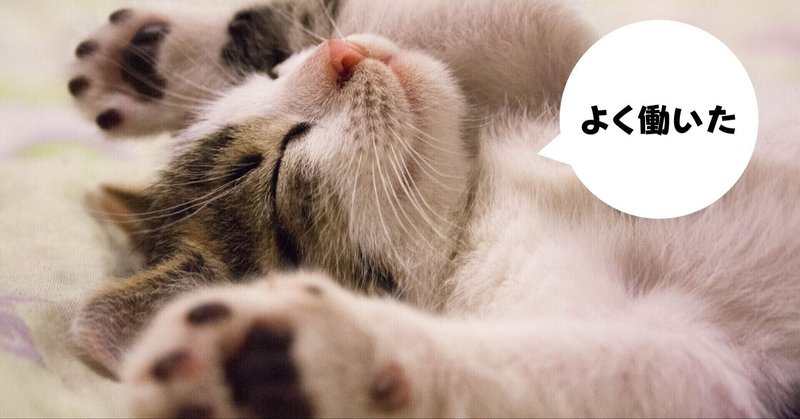 猫と過ごす時間を大切にする 田舎で起業して１３年目 ブランディングコンサルタントの日常 Note