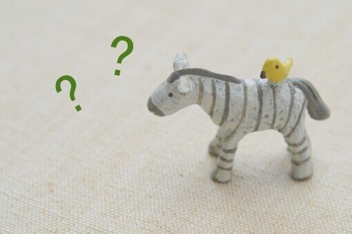 コンプライアンス オフィサー解答速報 第33回 Nbsp Oco 願書配付 願書提出 過去問 合格点 予想問題 Cbt 最終合格発表日など 受験する日程は早めに把握しておきましょう コンプライアンス オフィサ 資格 受験 スキルアップ Note