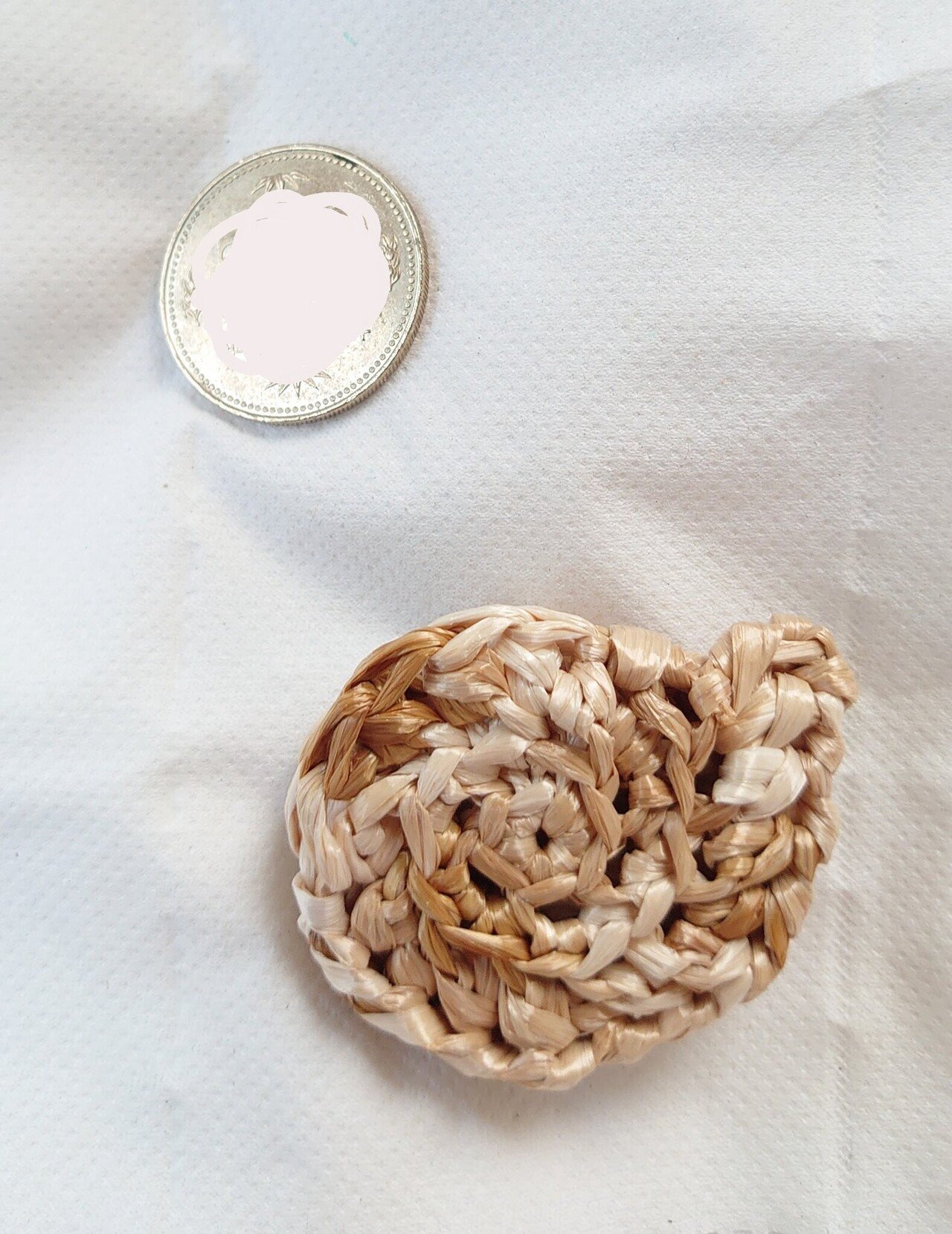 ５００円玉専用アンモナイトコインケース｜編む漢