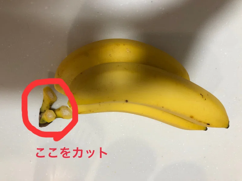 そんなバナナの黒くならない保存法 大海を知ったオタマジャクシ Note