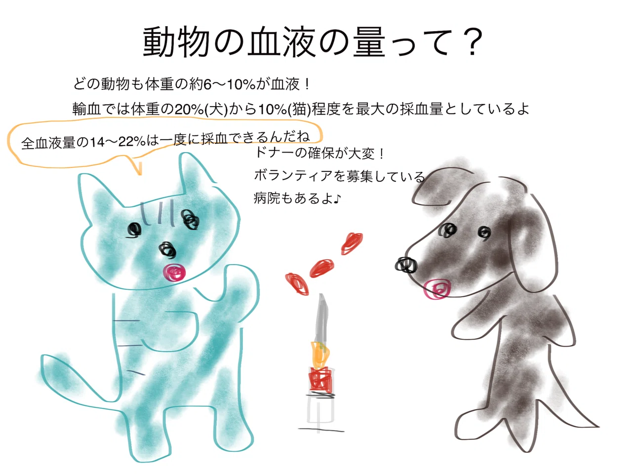 動物の血液の量って？｜獣医師ふー：獣医中毒情報ポータル（JVPIP）