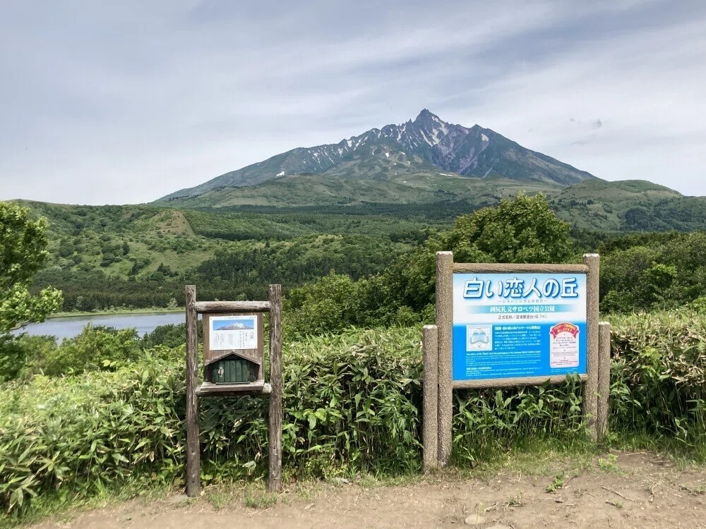 画像13