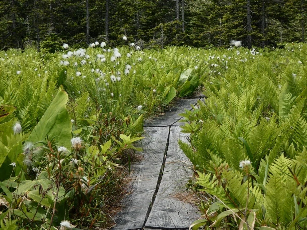 画像22
