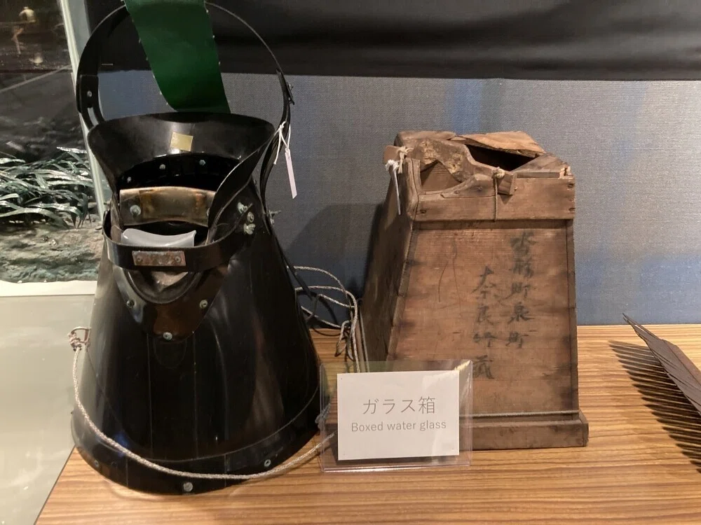 画像31