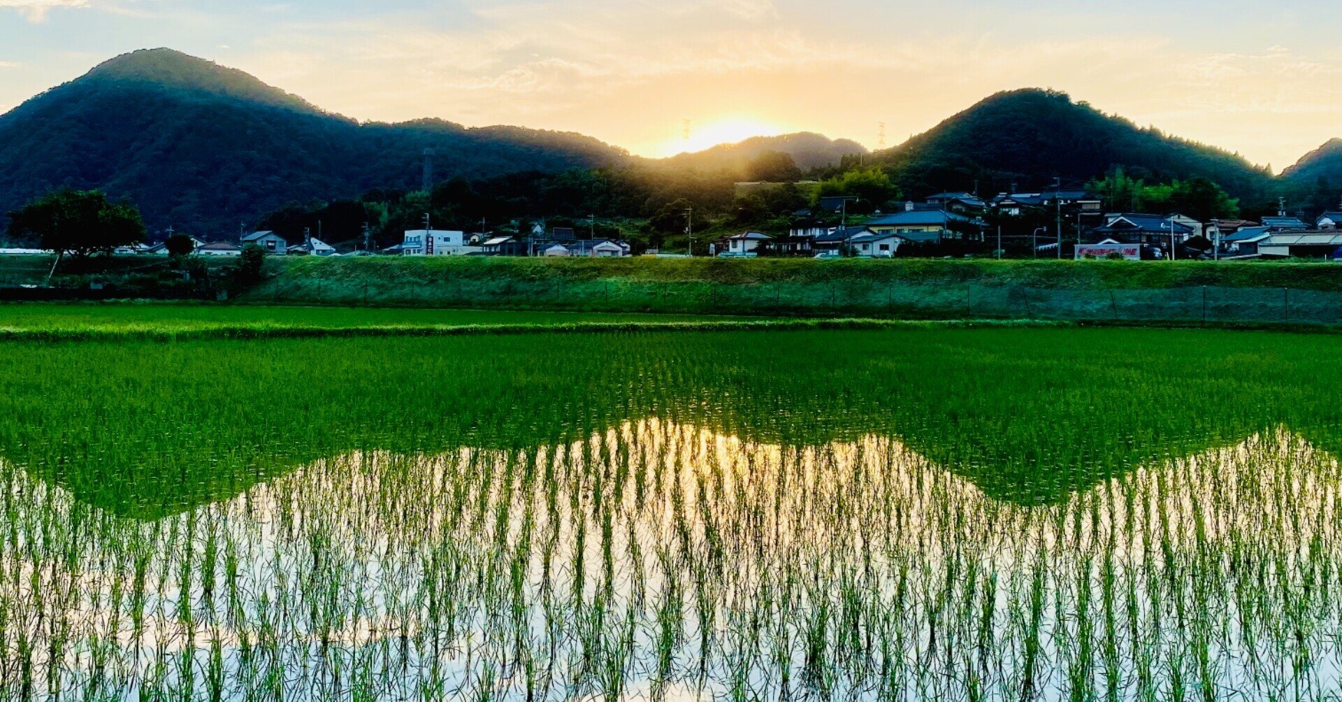 福知山 田舎のすすめ 森の京都tabiインフルエンサー 森の京都dmo公認ライター Note 福知山 田舎のすすめ 森の京都tabiインフルエンサー 森の京都dmo公認ライター Note
