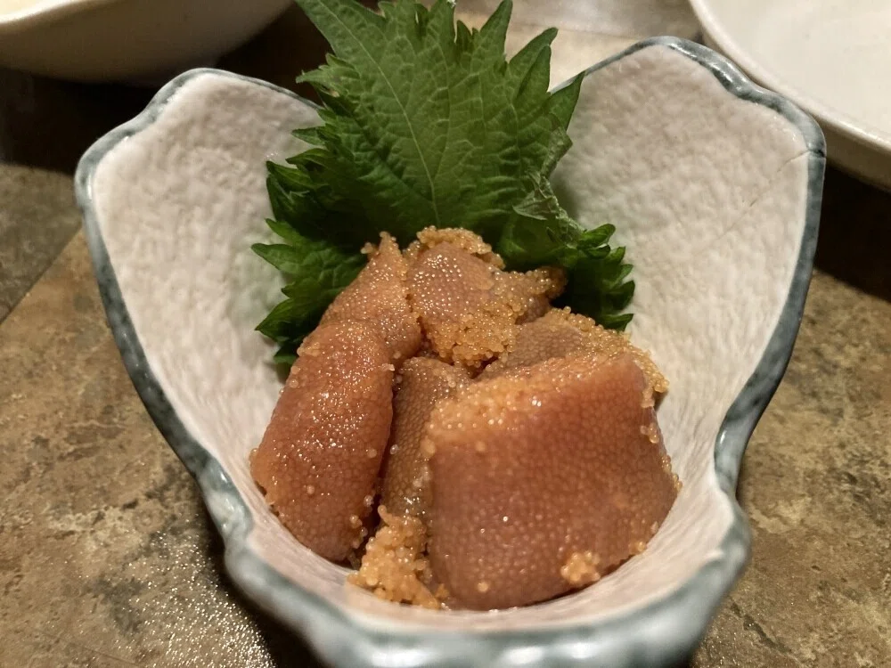 画像42