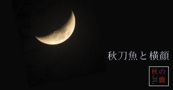 秋刀魚と横顔
