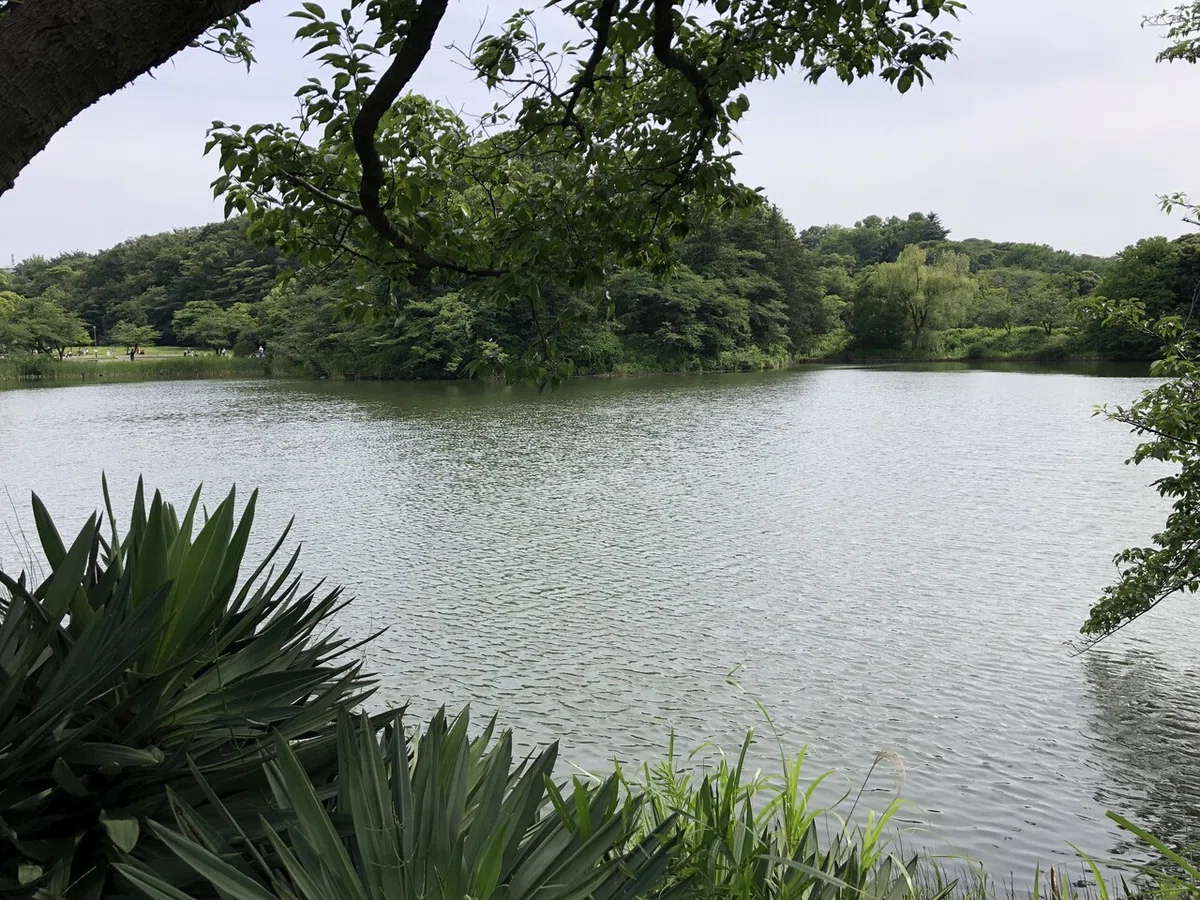 画像22