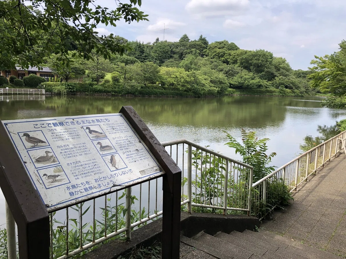 画像23