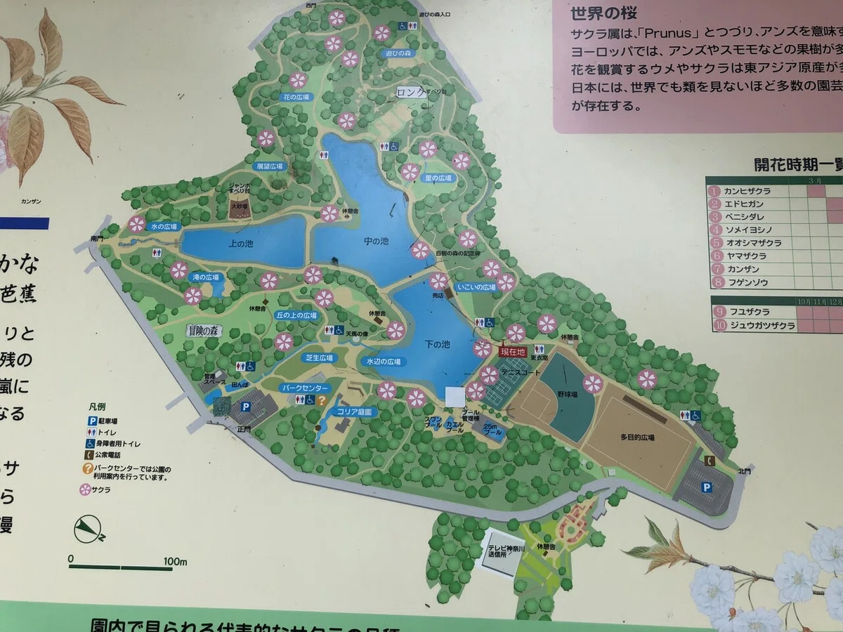 画像24