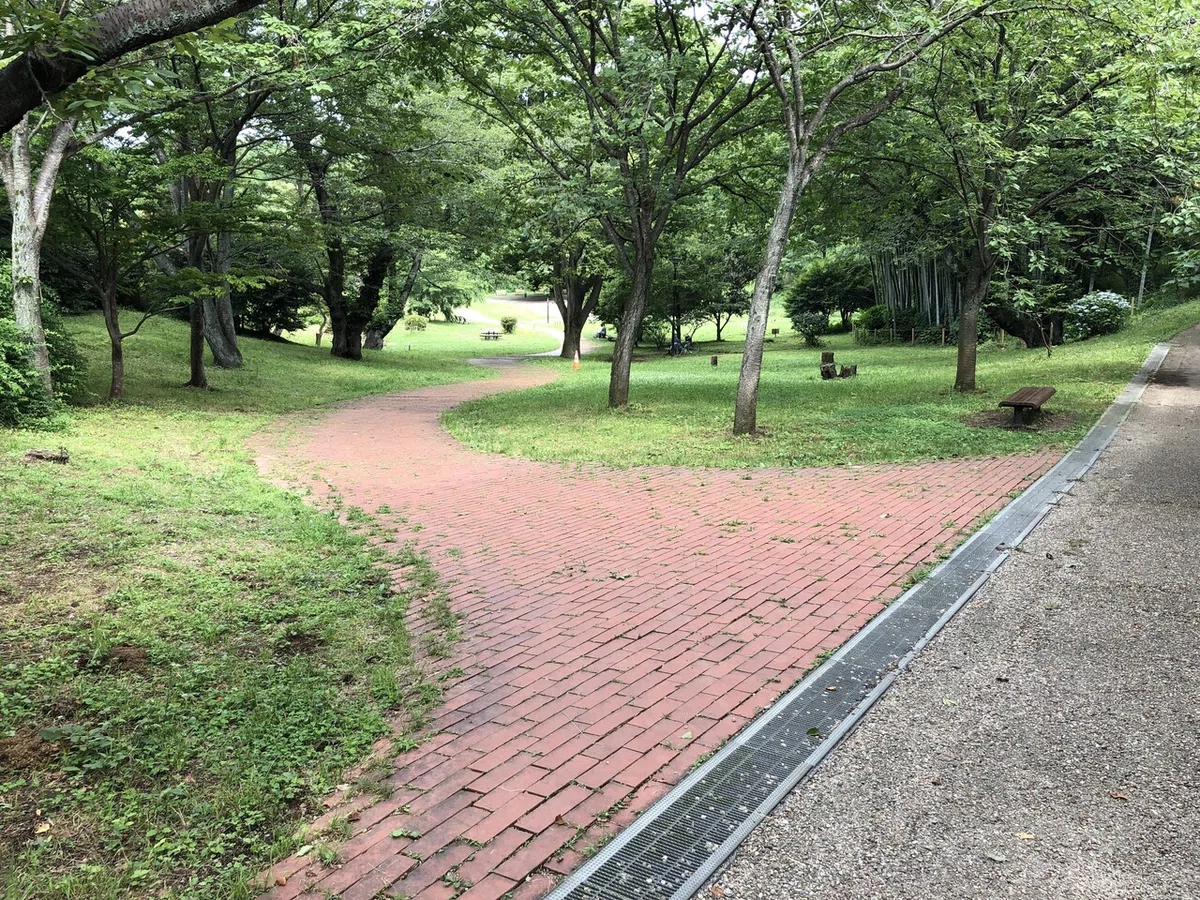 画像28
