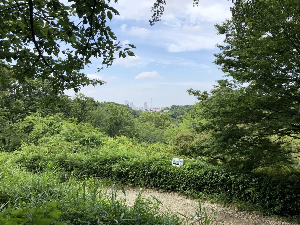 画像29