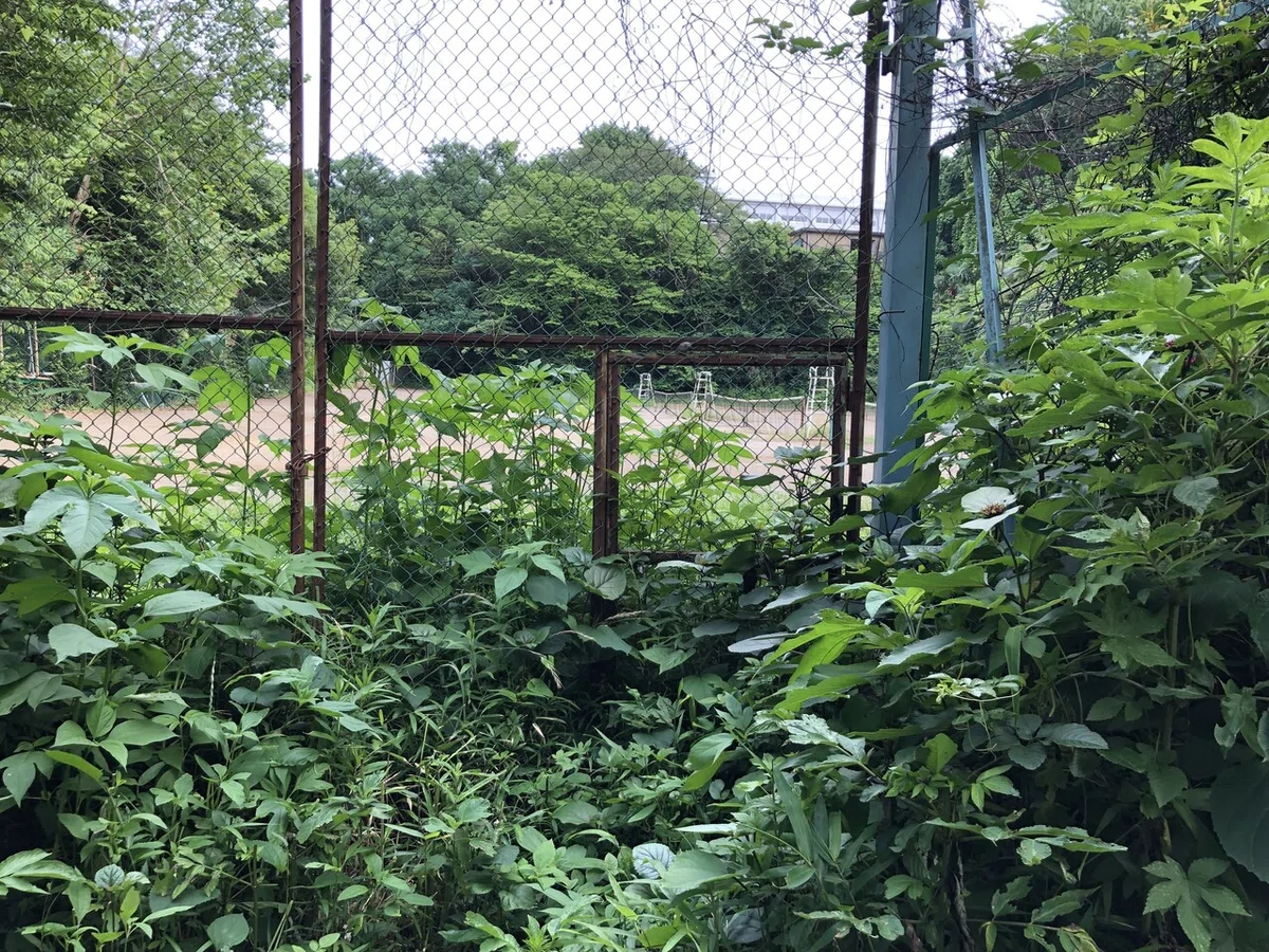 画像33