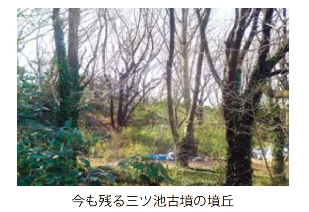 画像37
