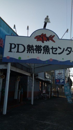 ベタ日記１０ たまには写真 ヴォンボ Note