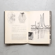 □メタボリズム運動についてーグループメンバー7人と支えた重要人物