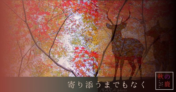 寄り添うまでもなく