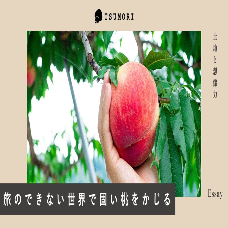 旅のできない世界で固い桃をかじる Tsumori 土地と想像力のメディア Note