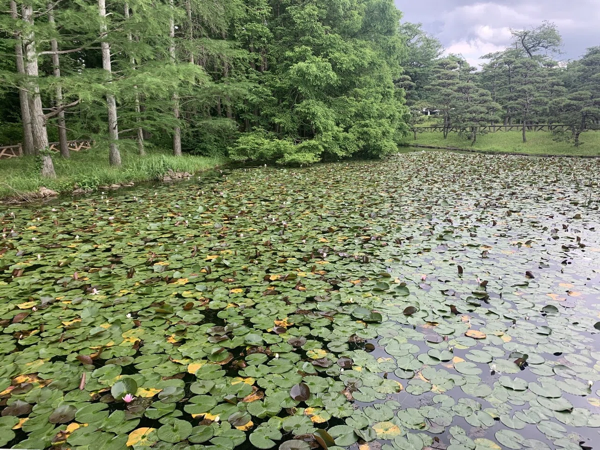 画像8