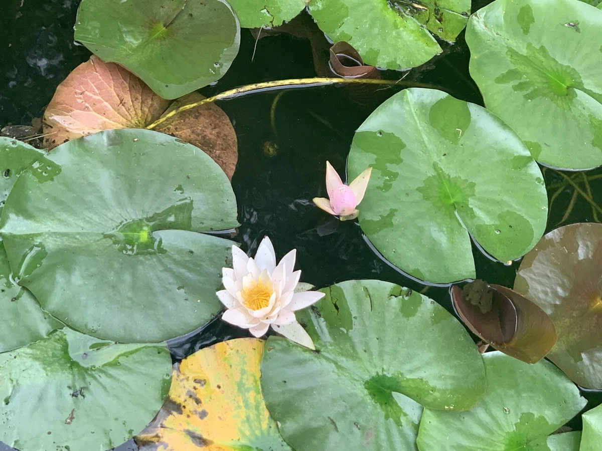 画像9
