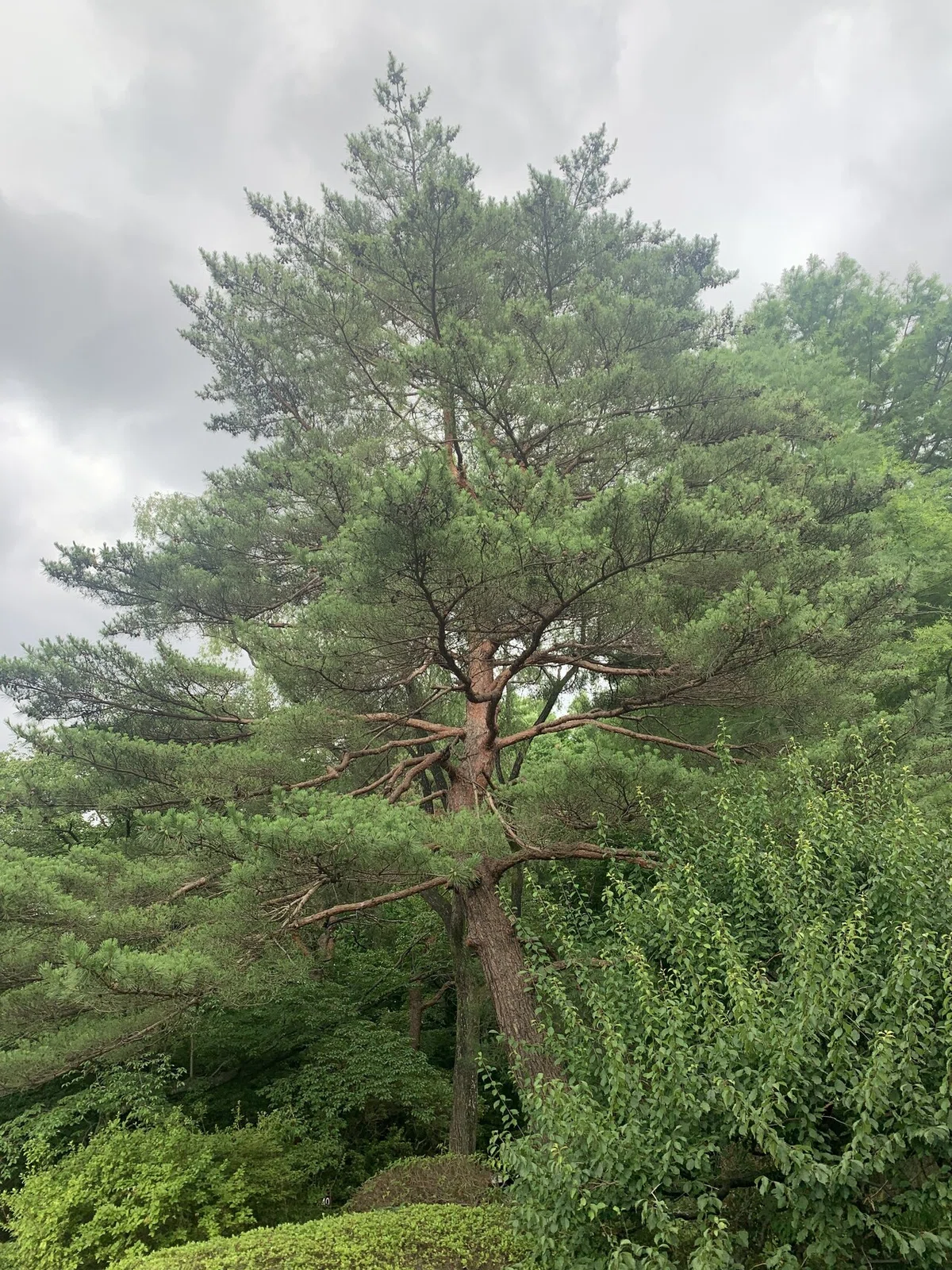 画像11