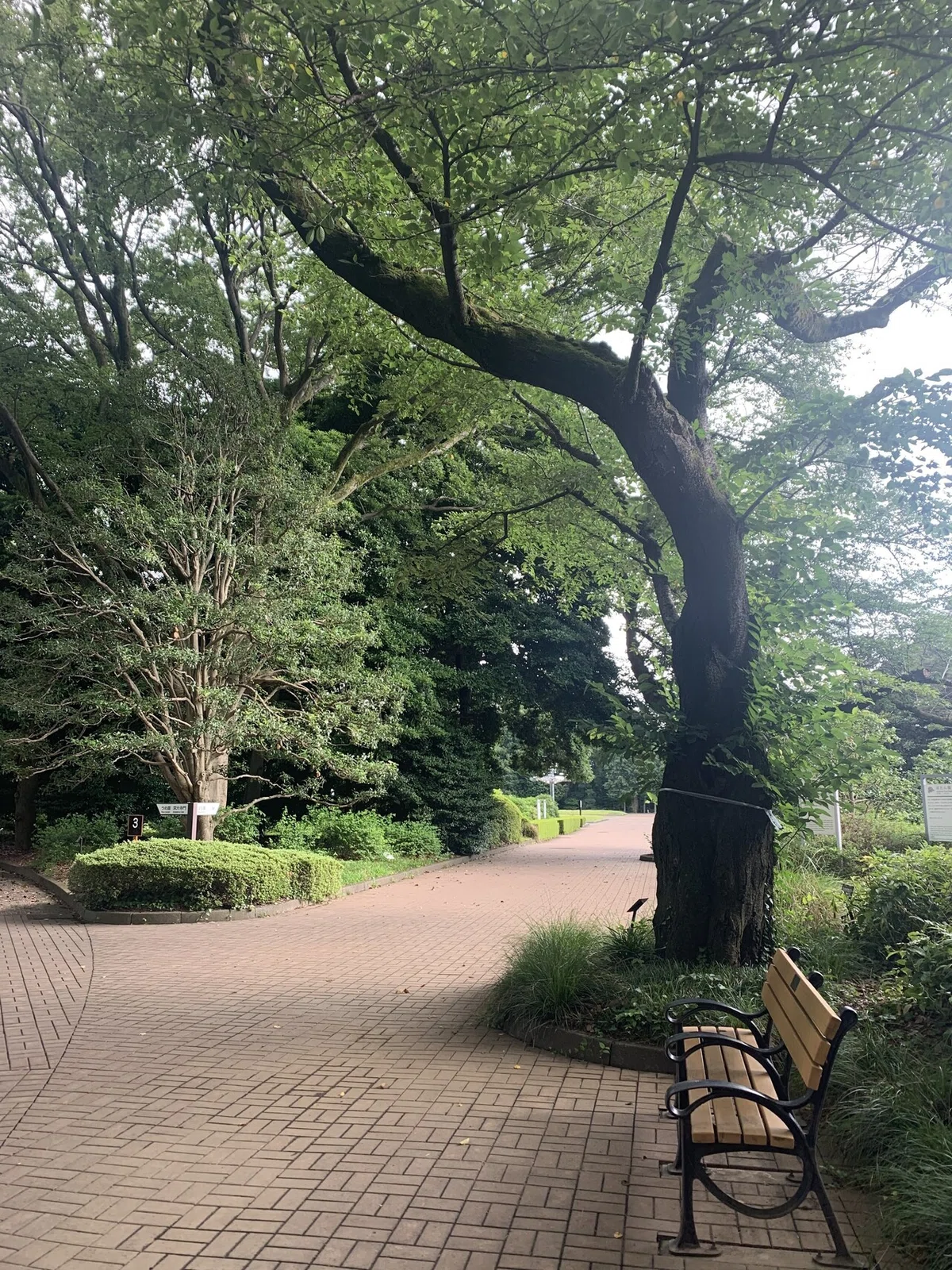 画像13
