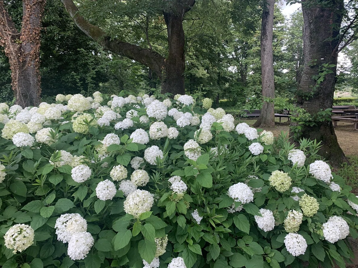 画像14