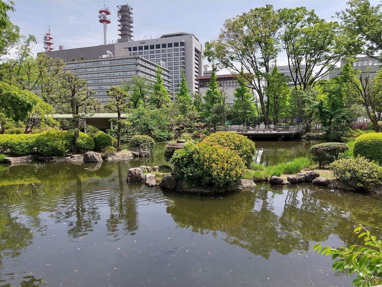 ブログ[まつりとりっぷ]では、楽しい旅の途中で訪れて欲しい癒しの公園をご紹介しています。
#憲政記念公園
#まつりとりっぷ
#癒しの公園
https://j-matsuri.com/park/7482/