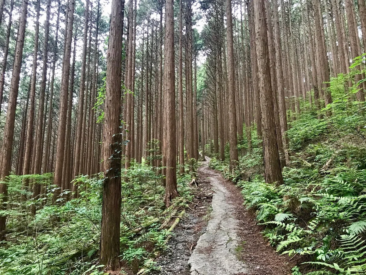画像7