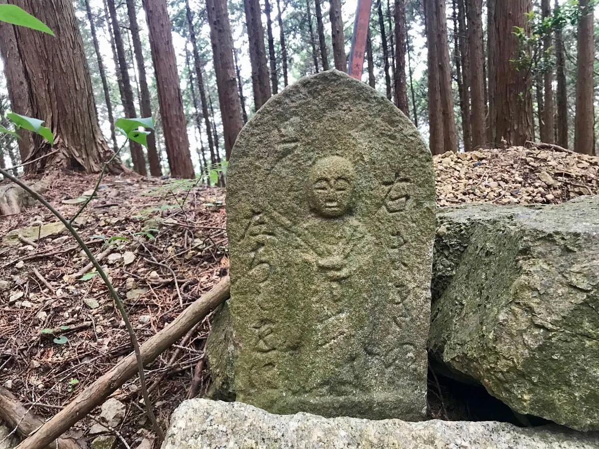 画像8
