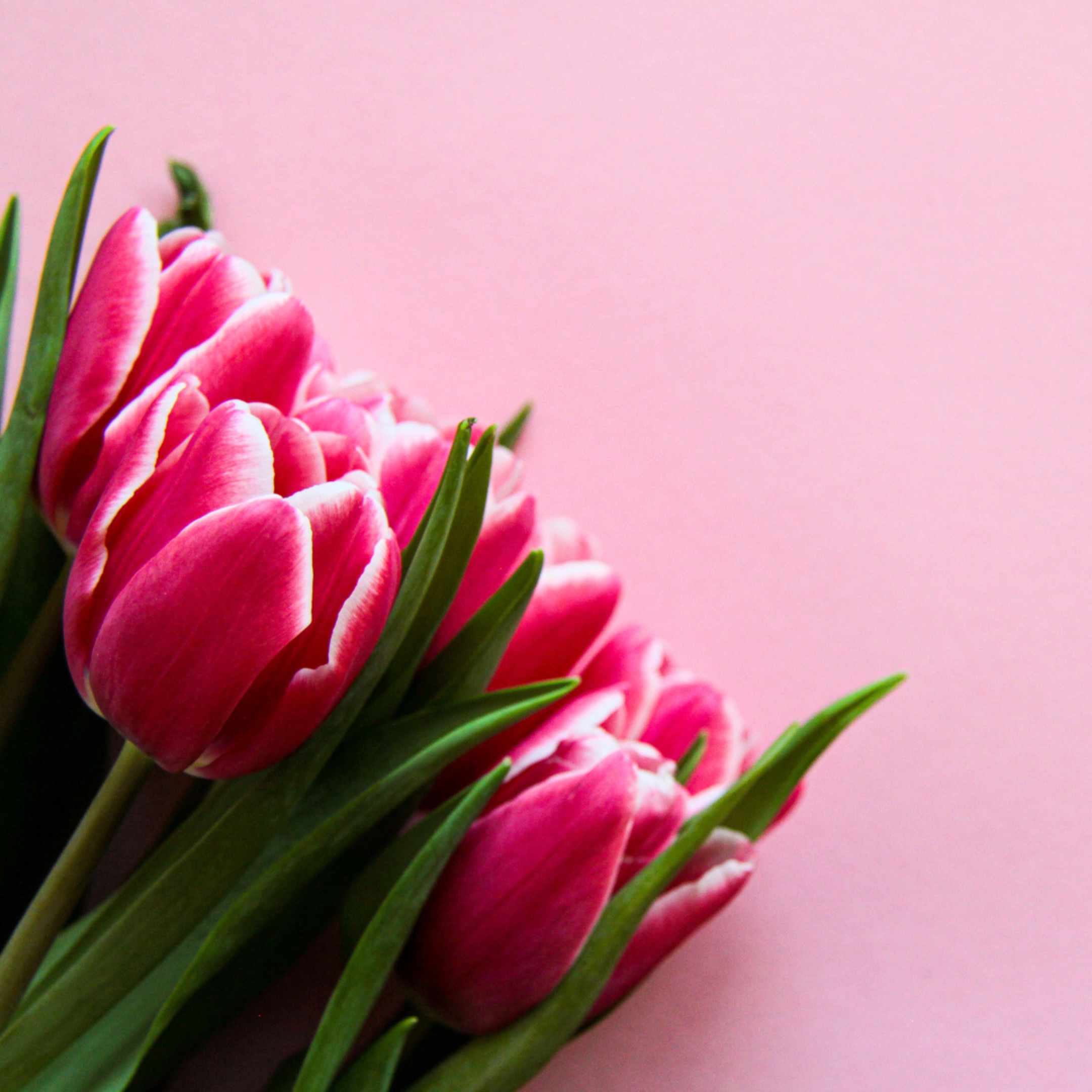 子なし専業主婦の平日スケジュール す Note