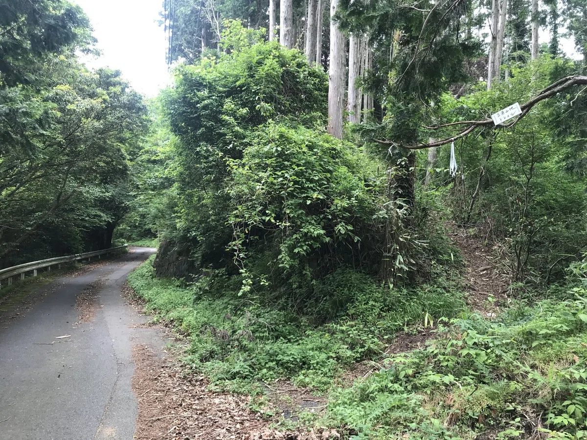 画像10