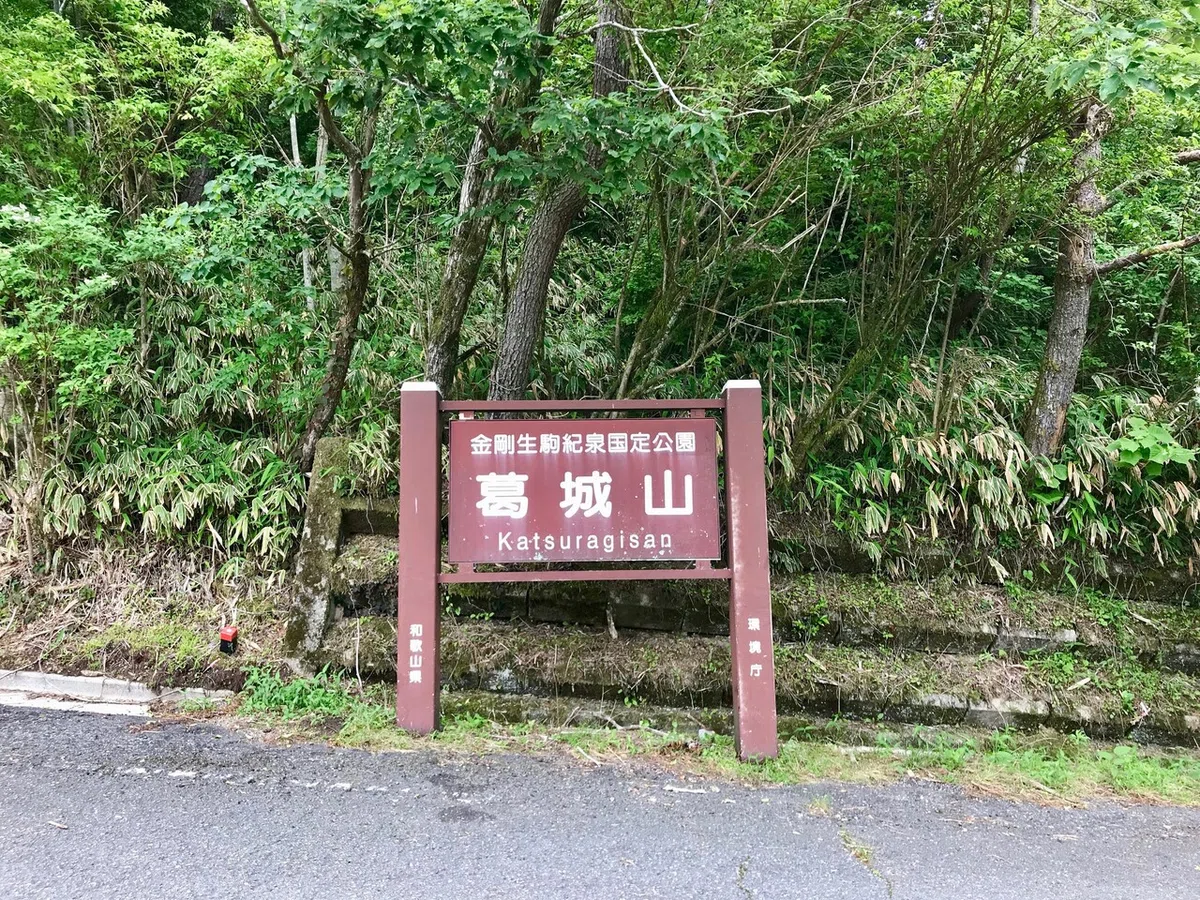 画像16