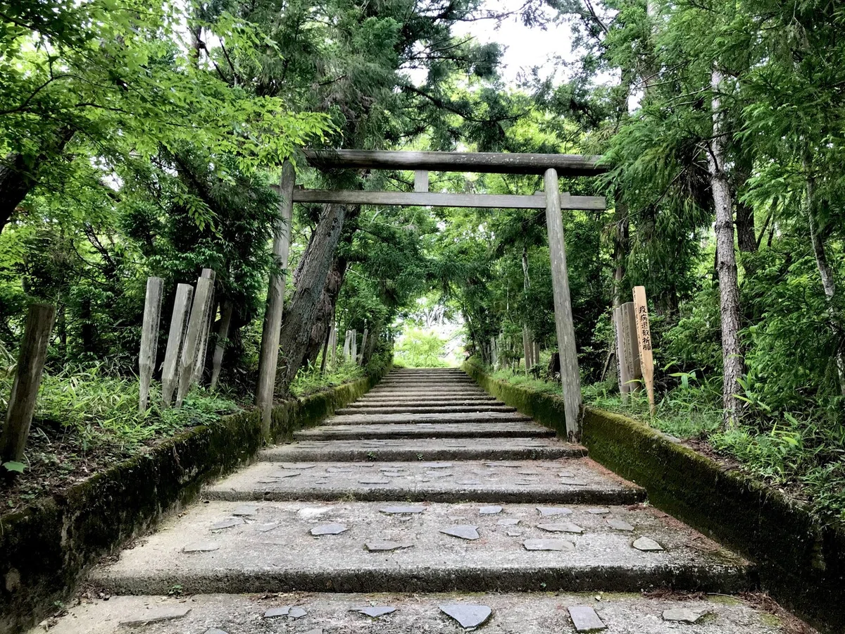 画像17