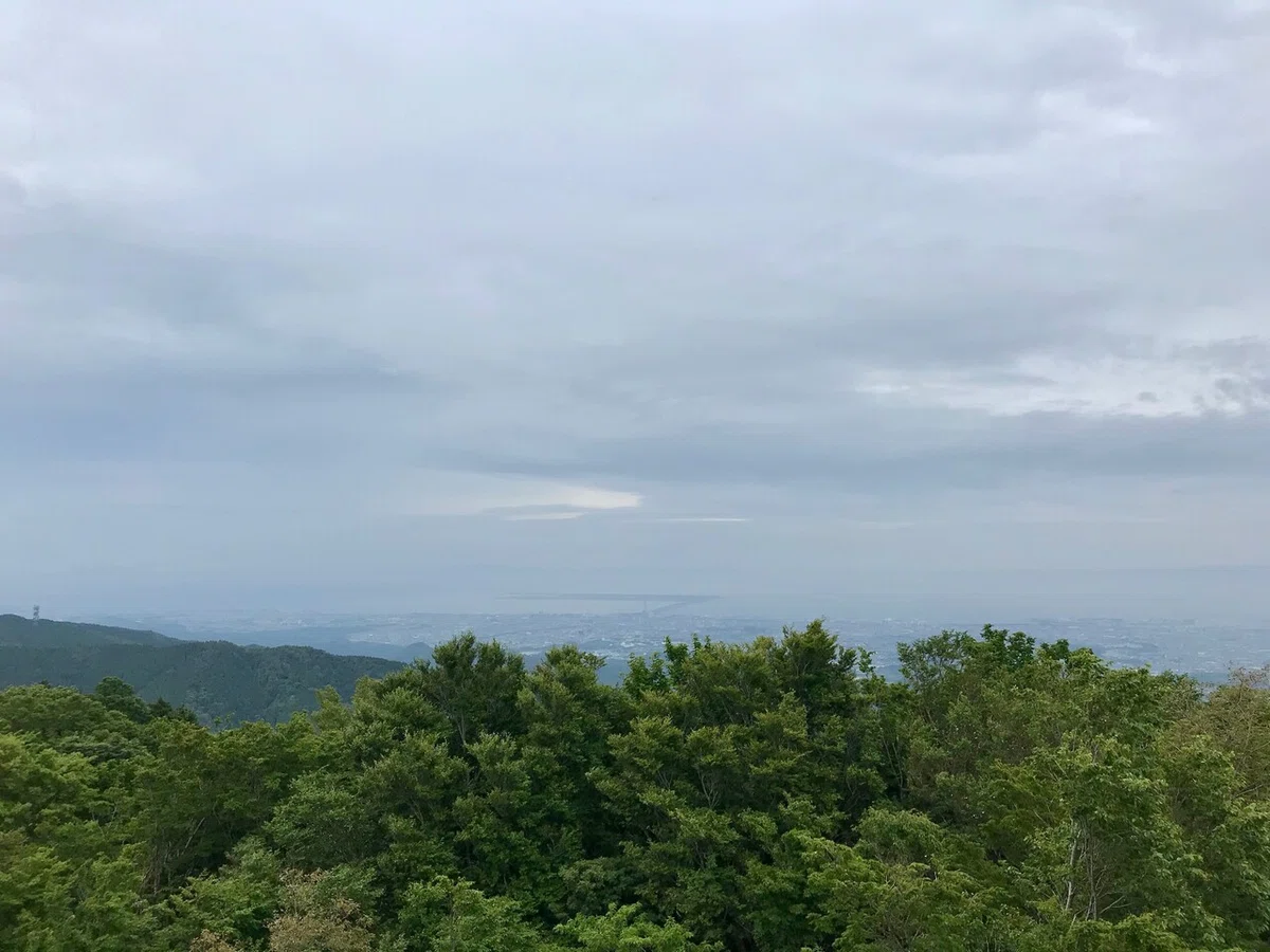 画像19