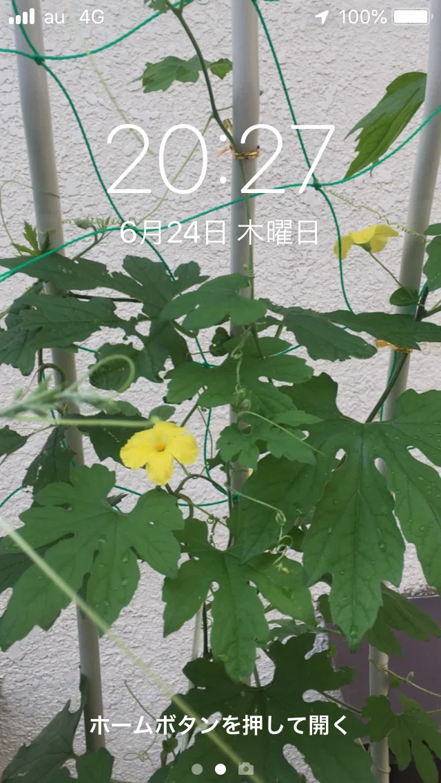 画像5