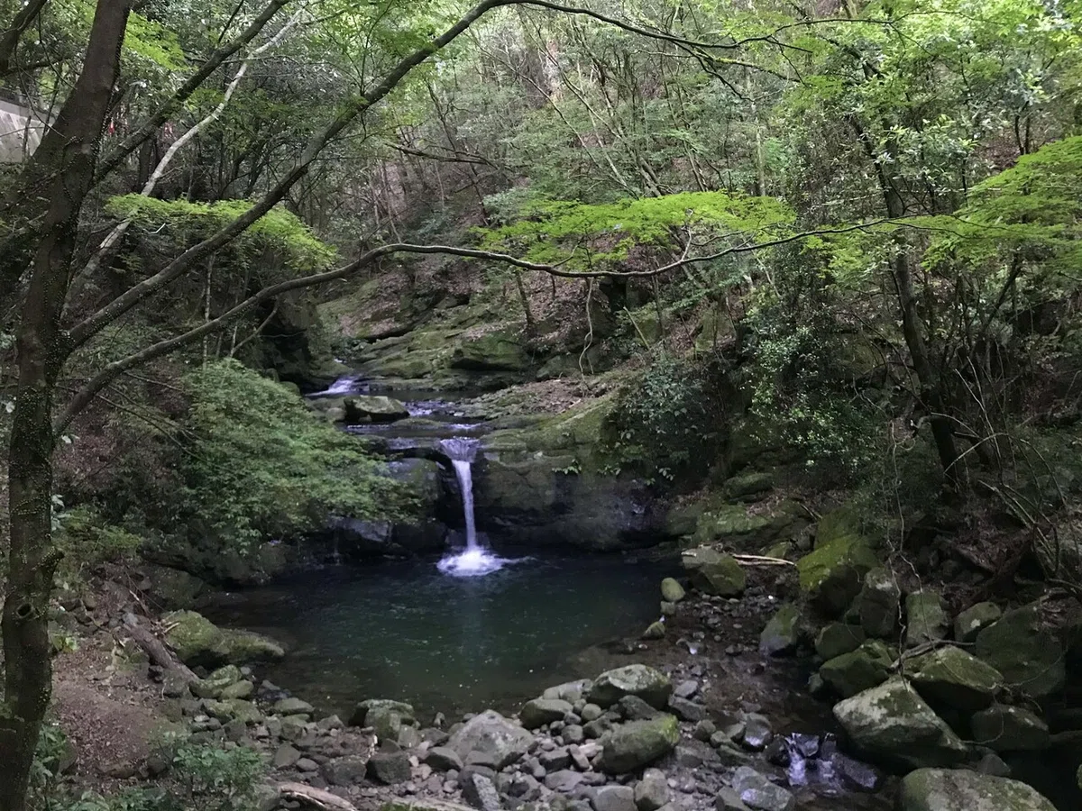 画像23